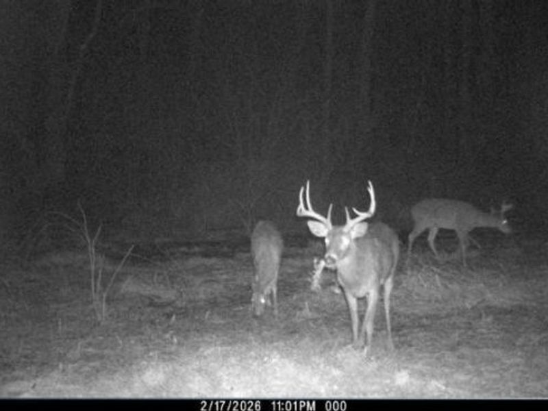 Township Road 34, Killbuck, OH 44637 Photo 26