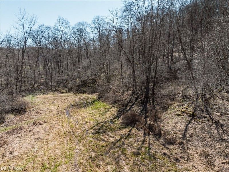 Township Road 34, Killbuck, OH 44637 Photo 3