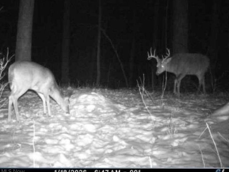 Township Road 34, Killbuck, OH 44637 Photo 31