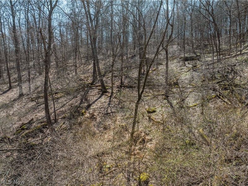 Township Road 34, Killbuck, OH 44637 Photo 10