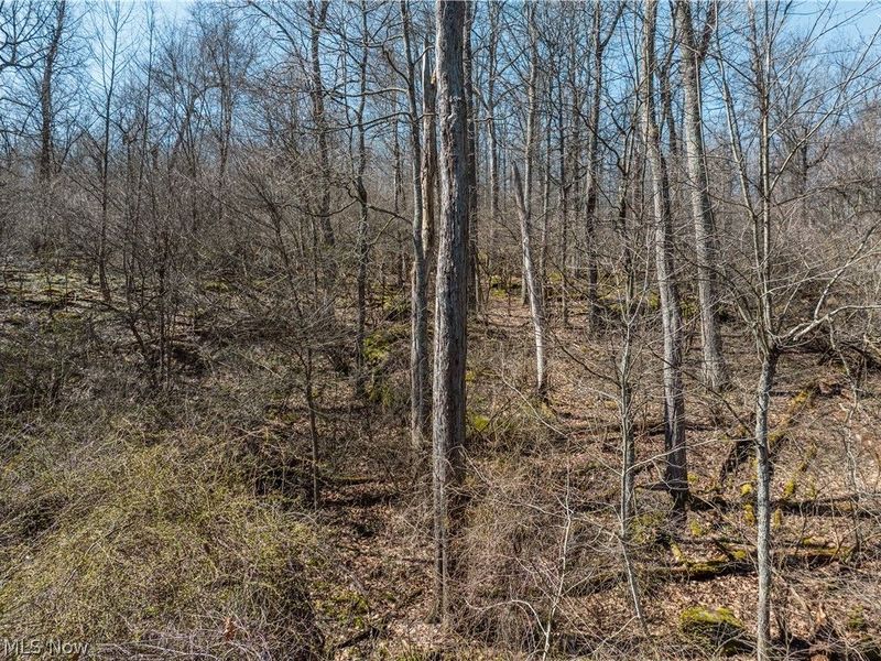 Township Road 34, Killbuck, OH 44637 Photo 11