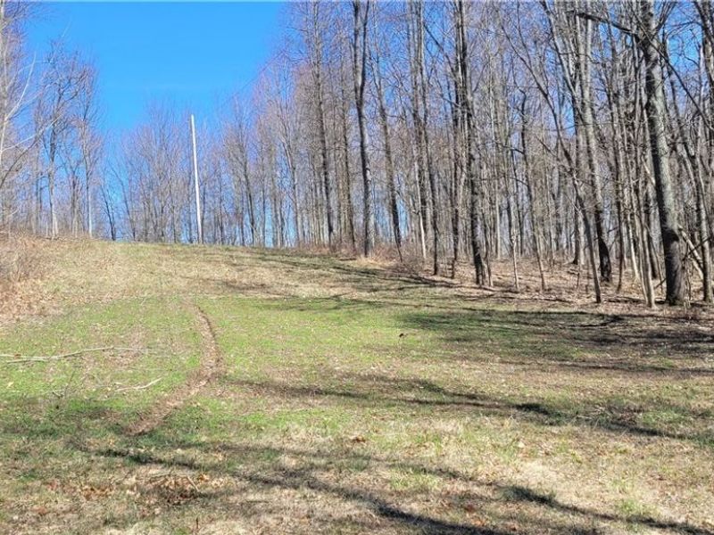 Township Road 34, Killbuck, OH 44637 Photo 31