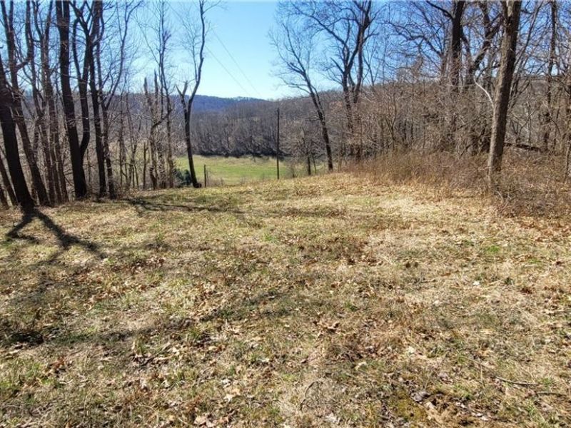 Township Road 34, Killbuck, OH 44637 Photo 32