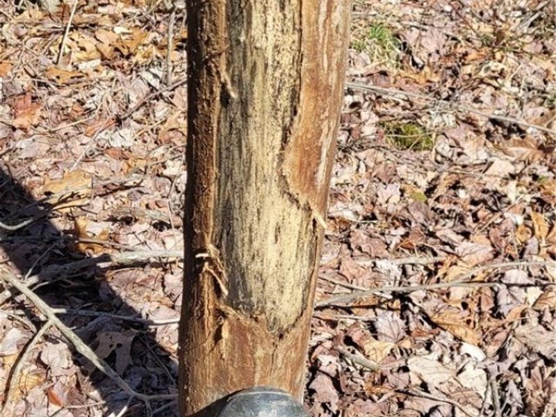 Township Road 34, Killbuck, OH 44637 Photo 34