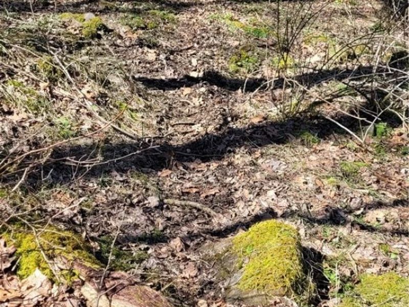 Township Road 34, Killbuck, OH 44637 Photo 35