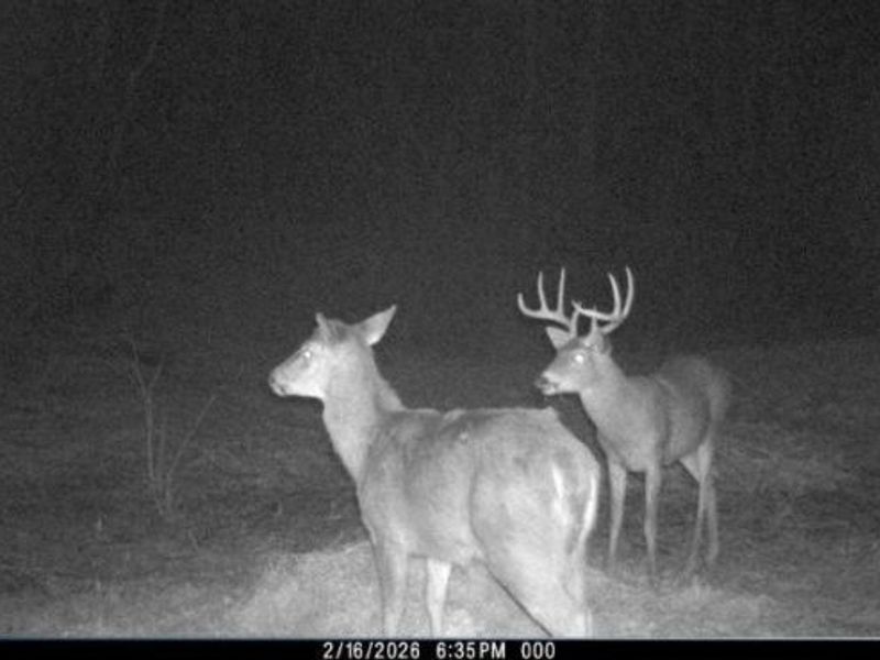 Township Road 34, Killbuck, OH 44637 Photo 41