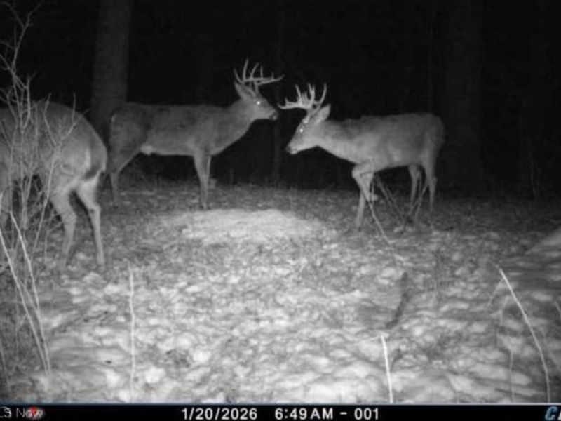 Township Road 34, Killbuck, OH 44637 Photo 42