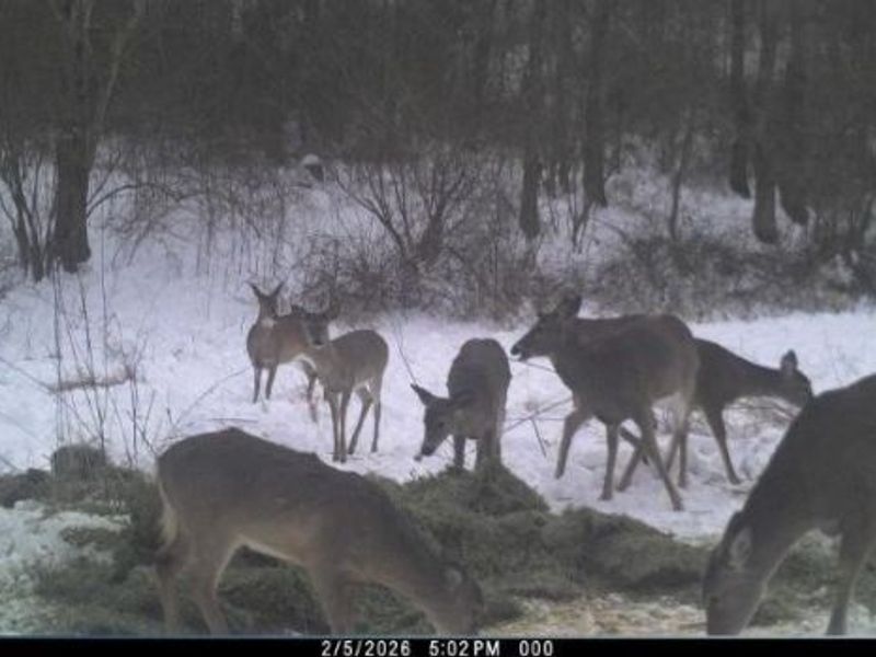 Township Road 34, Killbuck, OH 44637 Photo 47