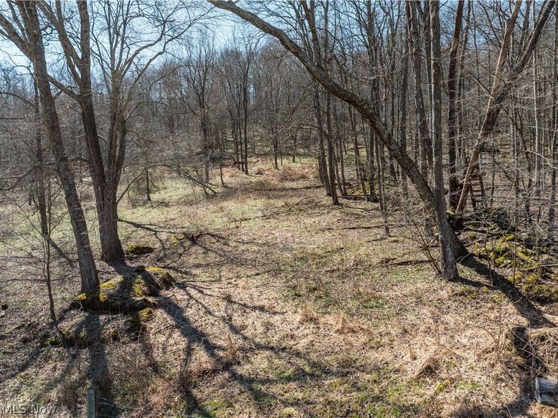 Township Road 34, Killbuck, OH 44637 Photo 6
