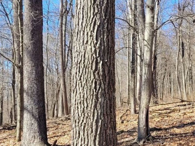 Township Road 34, Killbuck, OH 44637 Photo 13