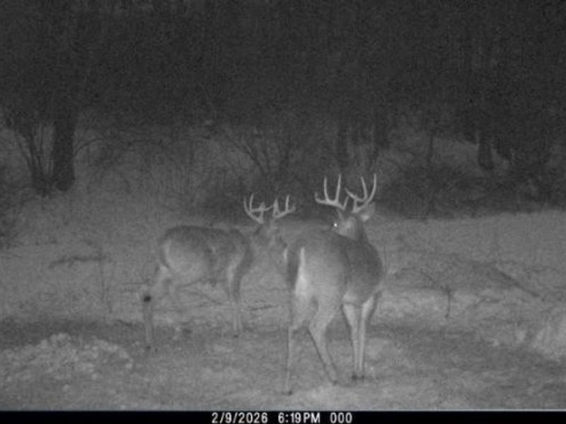 Township Road 34, Killbuck, OH 44637 Photo 22