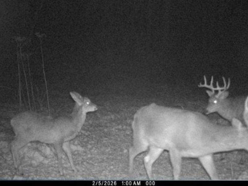 Township Road 34, Killbuck, OH 44637 Photo 27