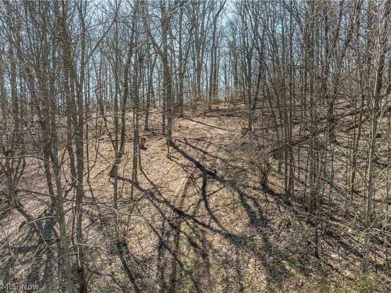 Township Road 34, Killbuck, OH 44637 Photo 4