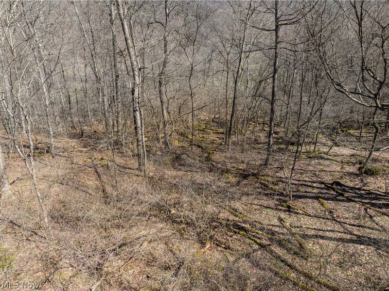 Township Road 34, Killbuck, OH 44637 Photo 6