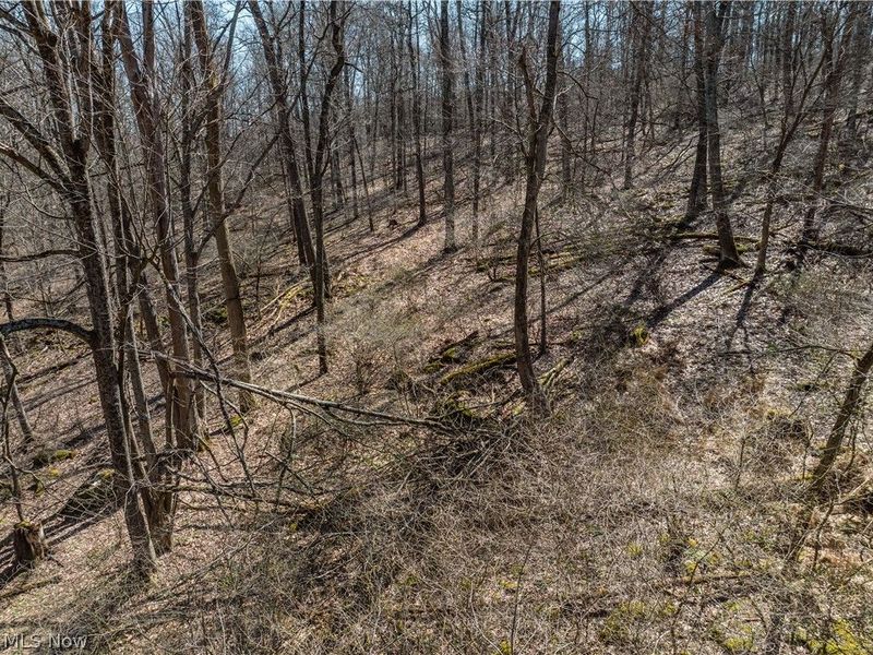 Township Road 34, Killbuck, OH 44637 Photo 7