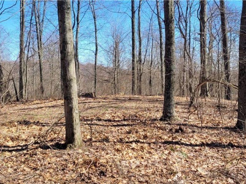 Township Road 34, Killbuck, OH 44637 Photo 17