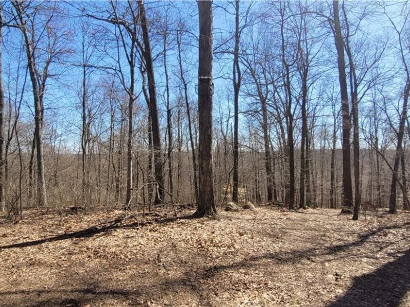 Township Road 34, Killbuck, OH 44637 Photo 18