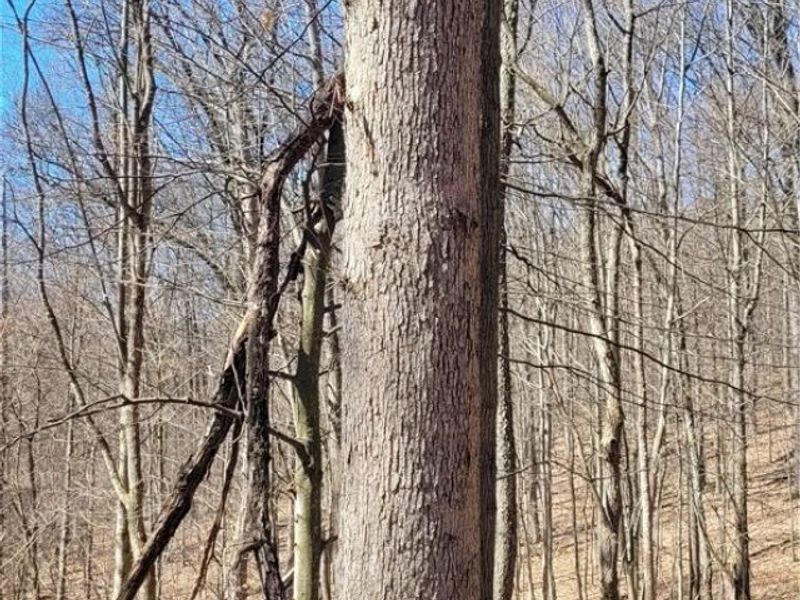 Township Road 34, Killbuck, OH 44637 Photo 19