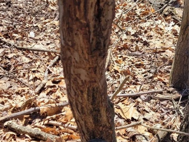 Township Road 34, Killbuck, OH 44637 Photo 20