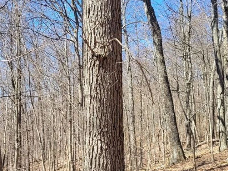 Township Road 34, Killbuck, OH 44637 Photo 22