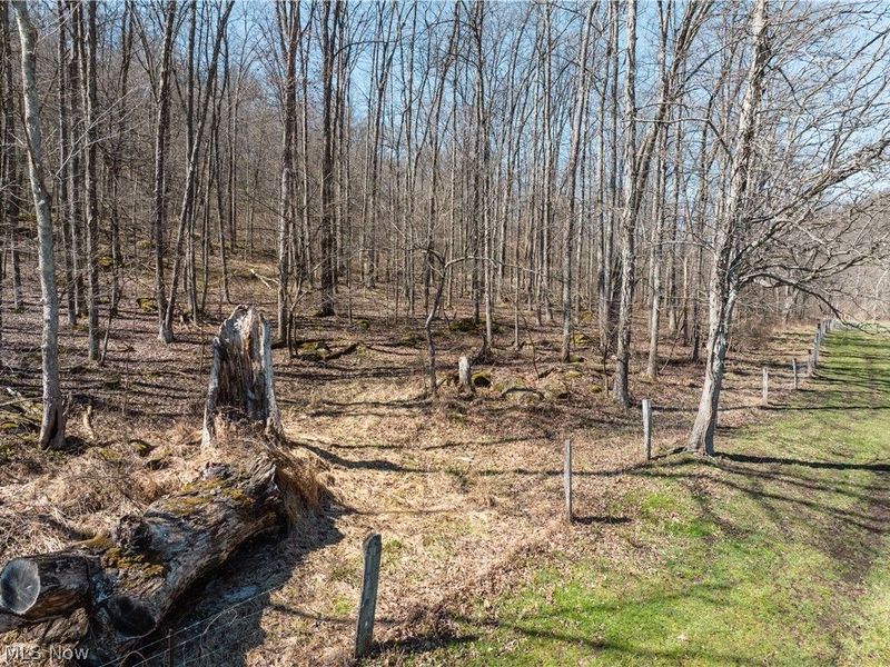 Township Road 34, Killbuck, OH 44637 Photo 3