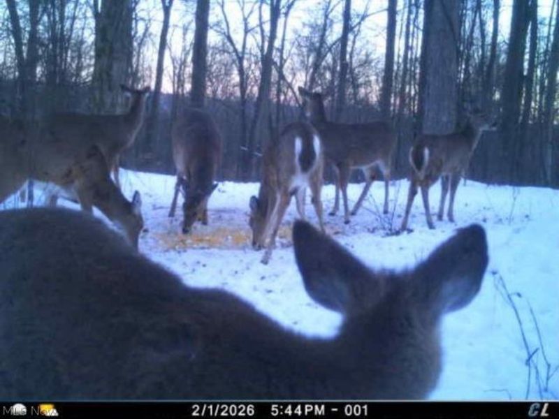 Township Road 34, Killbuck, OH 44637 Photo 43