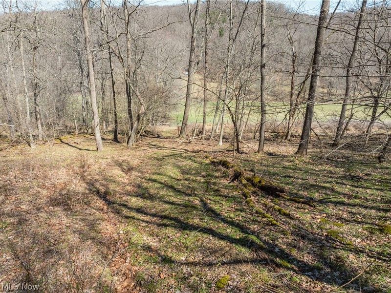 Township Road 34, Killbuck, OH 44637 Photo 5