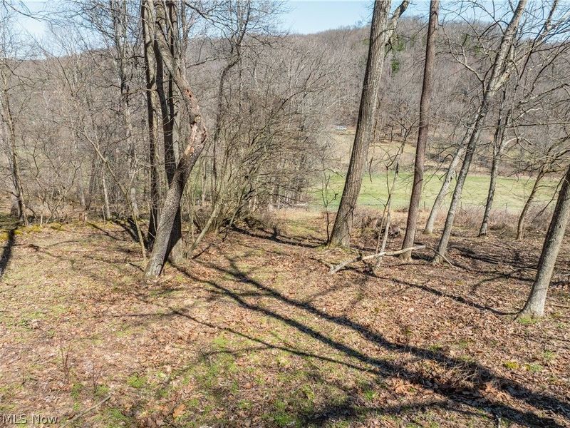 Township Road 34, Killbuck, OH 44637 Photo 6