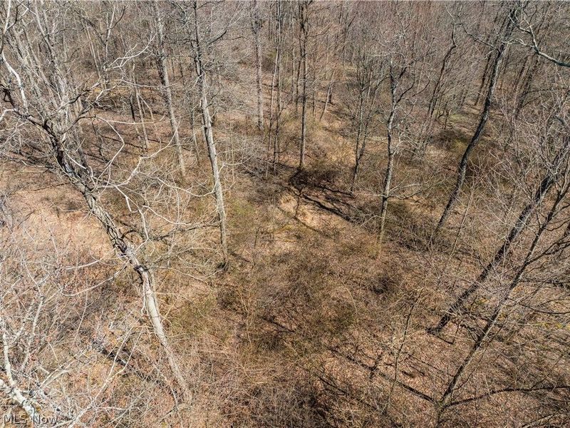 Township Road 34, Killbuck, OH 44637 Photo 8