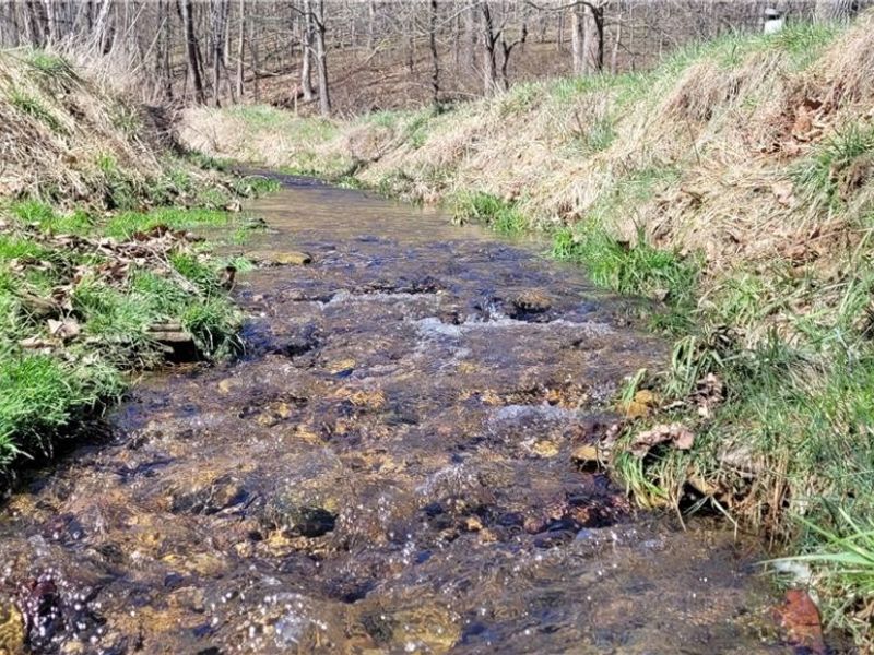 2255 Township Road 34, Killbuck, OH 44637 Photo 39