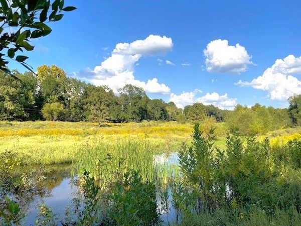 1250 Elder Branch, Hackett, AR 72937