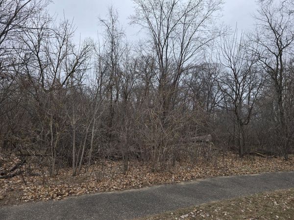 L2,B2 288th Avenue NW, Zimmerman, MN 55398