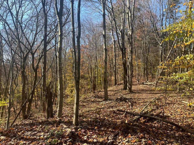 830 Nibert Road, Unit (Ponds Pop, Gallipolis, OH 45631 Photo 10