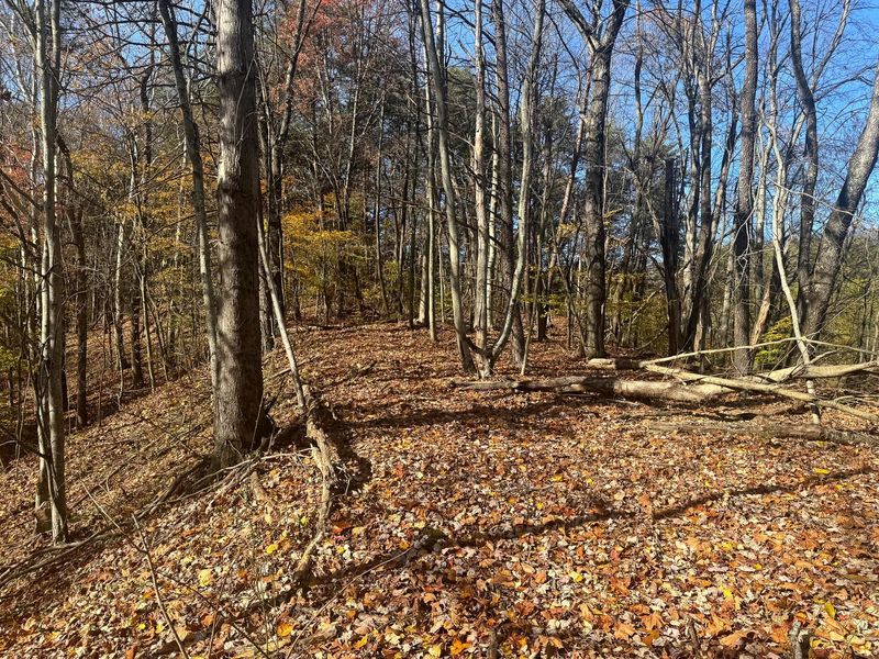 830 Nibert Road, Unit (Ponds Pop, Gallipolis, OH 45631 Photo 11