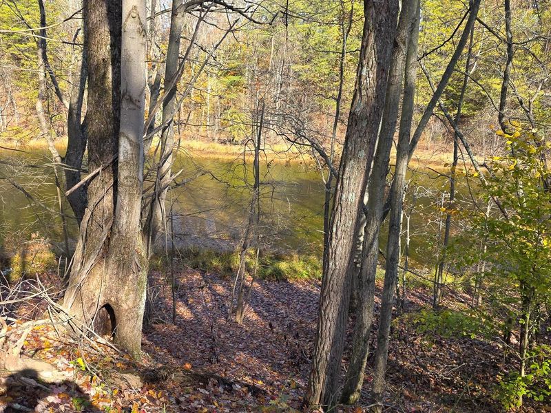 830 Nibert Road, Unit (Ponds Pop, Gallipolis, OH 45631 Photo 14