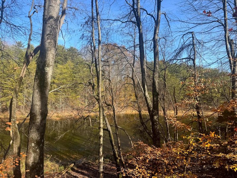 830 Nibert Road, Unit (Ponds Pop, Gallipolis, OH 45631 Photo 15