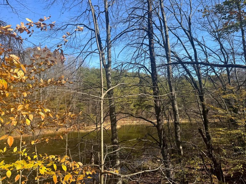 830 Nibert Road, Unit (Ponds Pop, Gallipolis, OH 45631 Photo 16