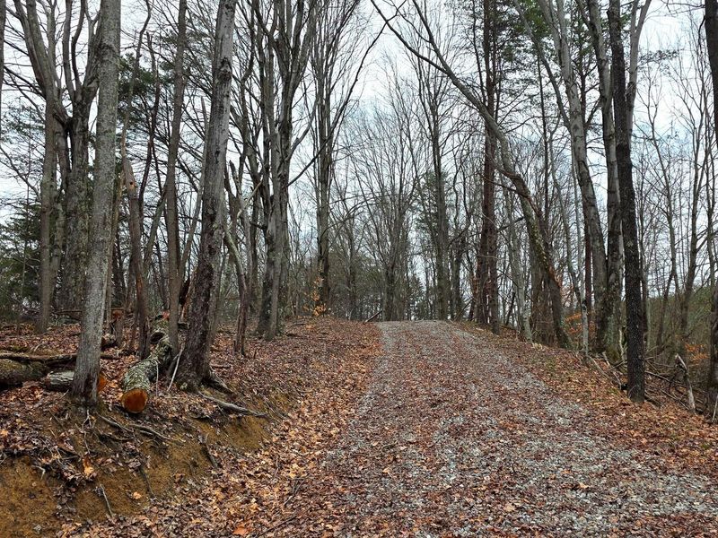 830 Nibert Road, Unit (Ponds Pop, Gallipolis, OH 45631 Photo 19