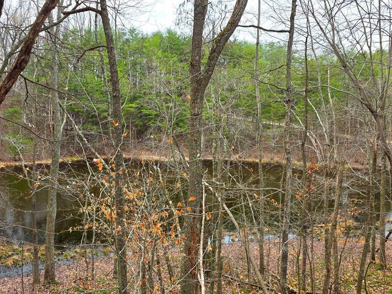 830 Nibert Road, Unit (Ponds Pop, Gallipolis, OH 45631 Photo 23