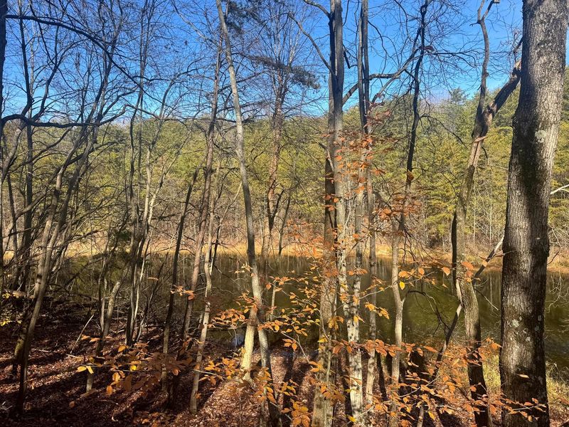 830 Nibert Road, Unit (Ponds Pop, Gallipolis, OH 45631 Photo 3