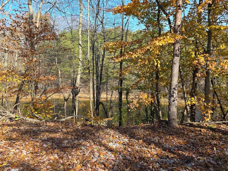 830 Nibert Road, Unit (Ponds Pop, Gallipolis, OH 45631 Photo 4