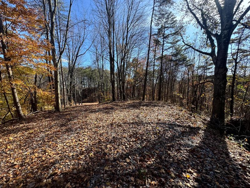 830 Nibert Road, Unit (Ponds Pop, Gallipolis, OH 45631 Photo 7