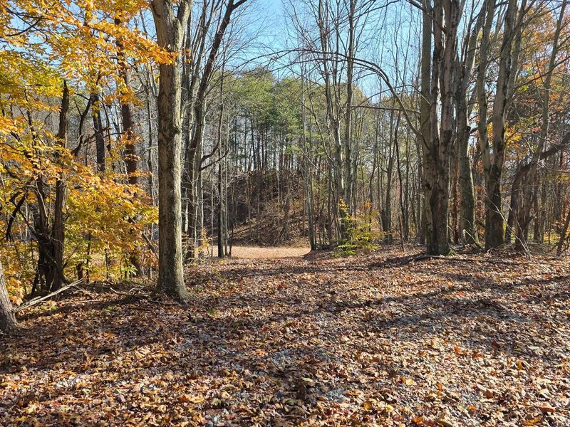 830 Nibert Road, Unit (Ponds Pop, Gallipolis, OH 45631 Photo 8