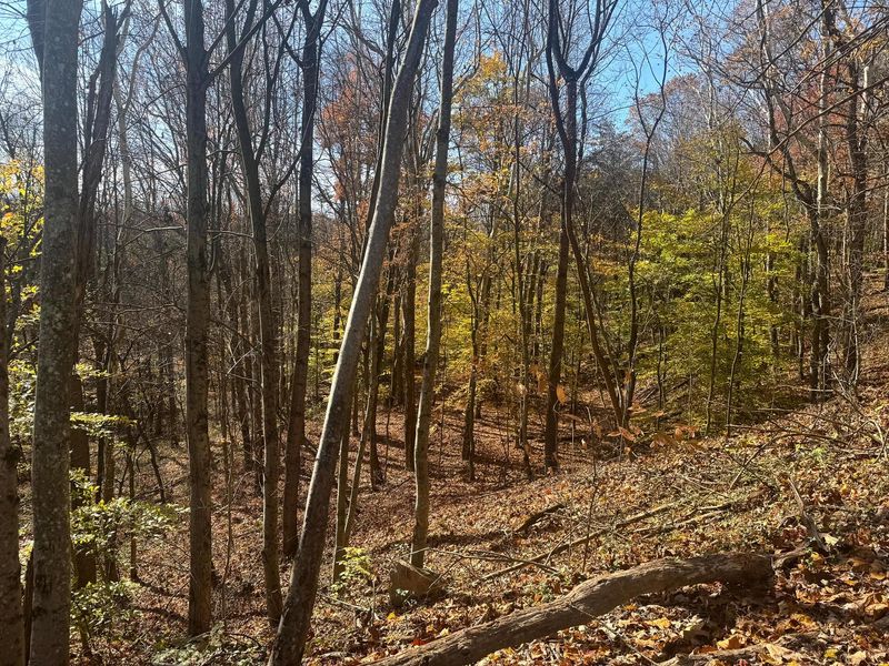 830 Nibert Road, Unit (Ponds Pop, Gallipolis, OH 45631 Photo 9