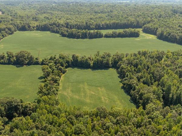 2395 POCAHONTAS RD, Pocahontas, TN 38061