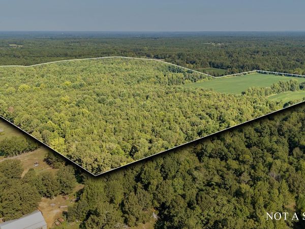 2395 POCAHONTAS RD, Pocahontas, TN 38061