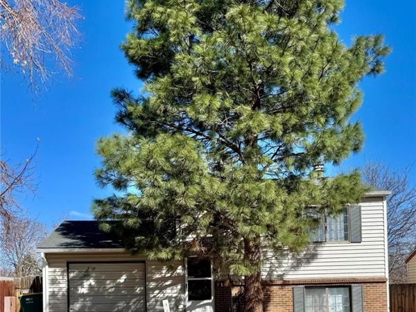 3927 S Pitkin Way , Aurora, CO 80013