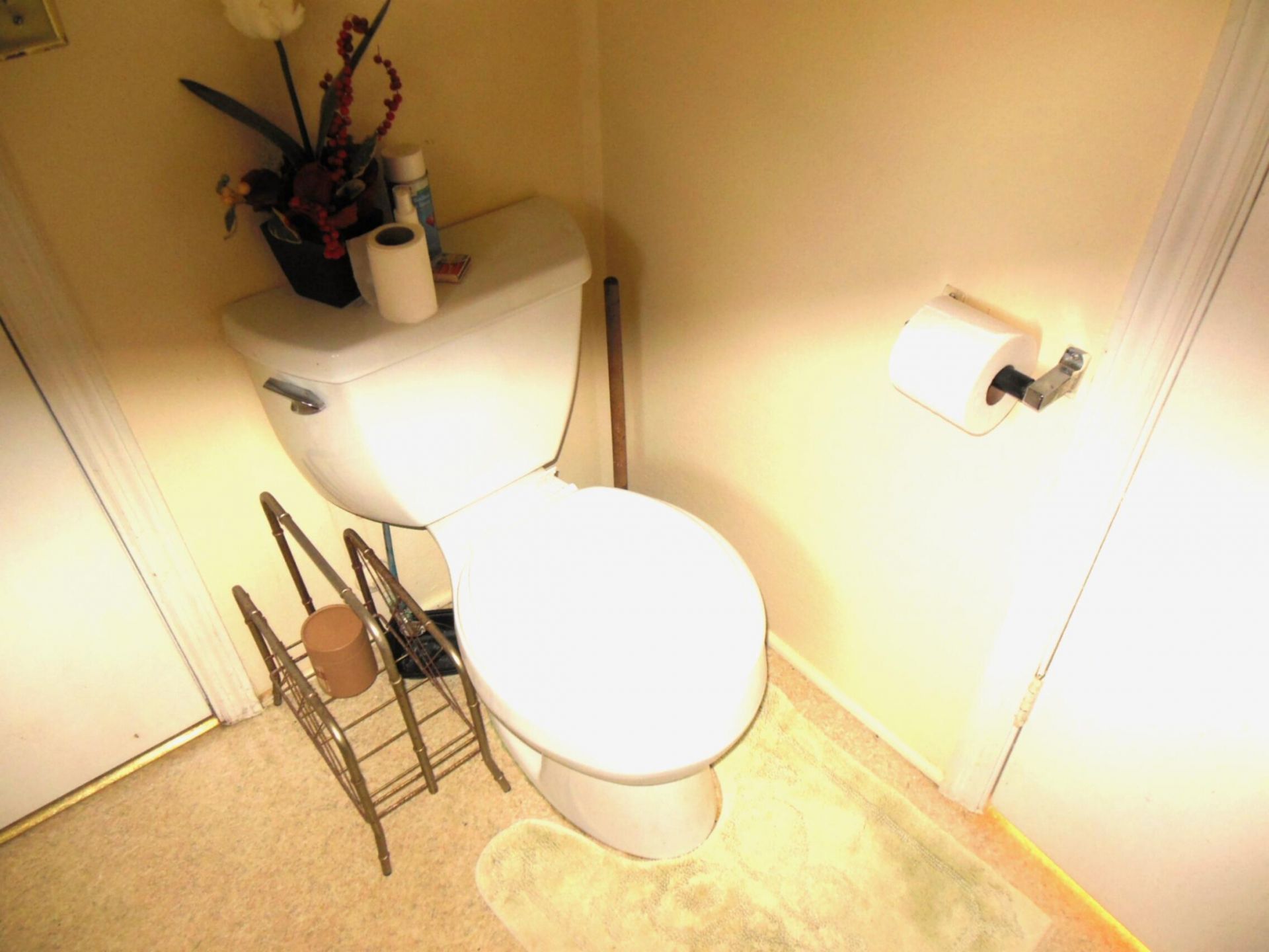 336 Farmstead Lane Photo 21