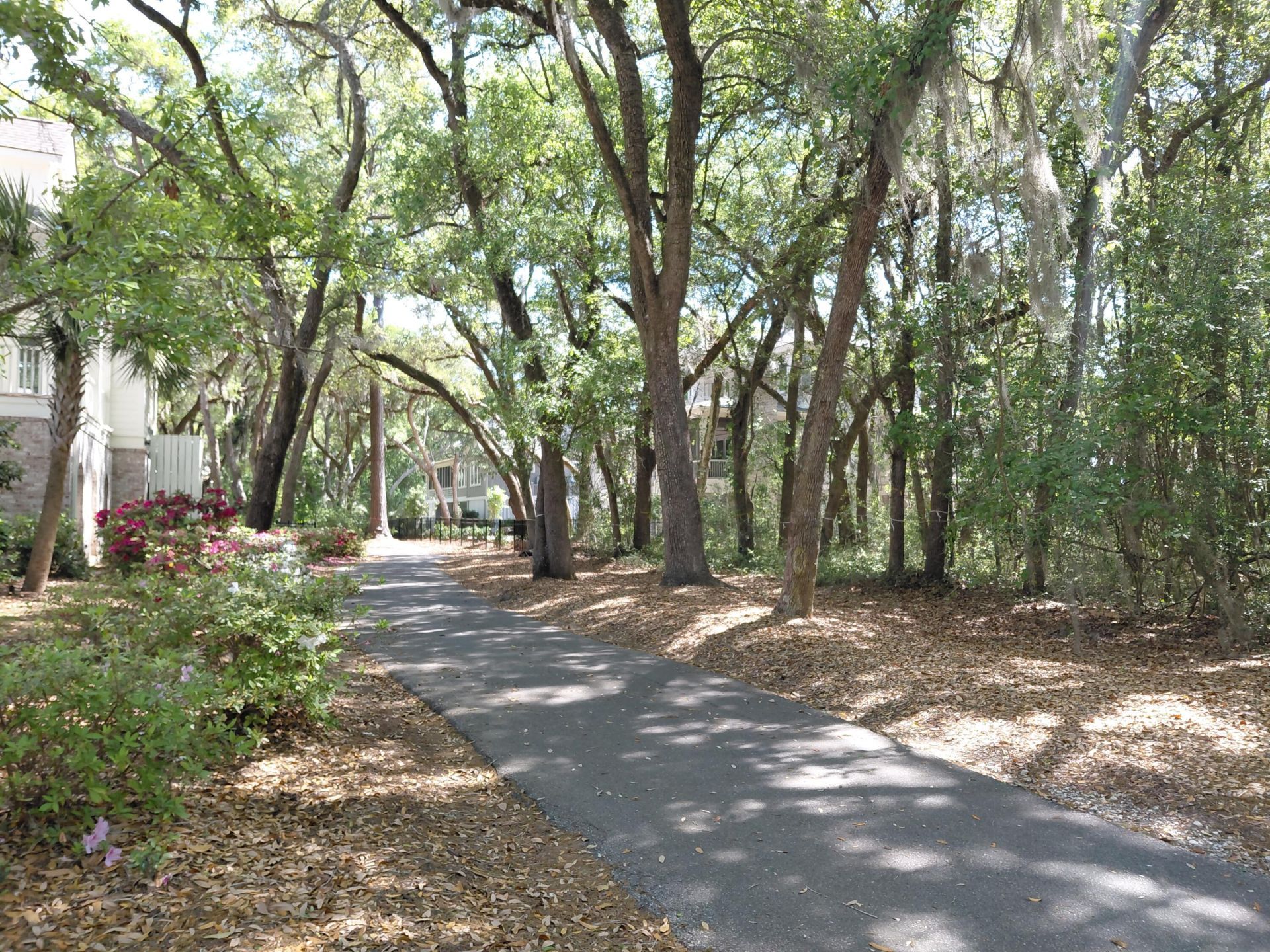 3003 Maritime Forest Drive Photo 10