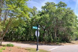 3003 Maritime Forest Drive photo 4